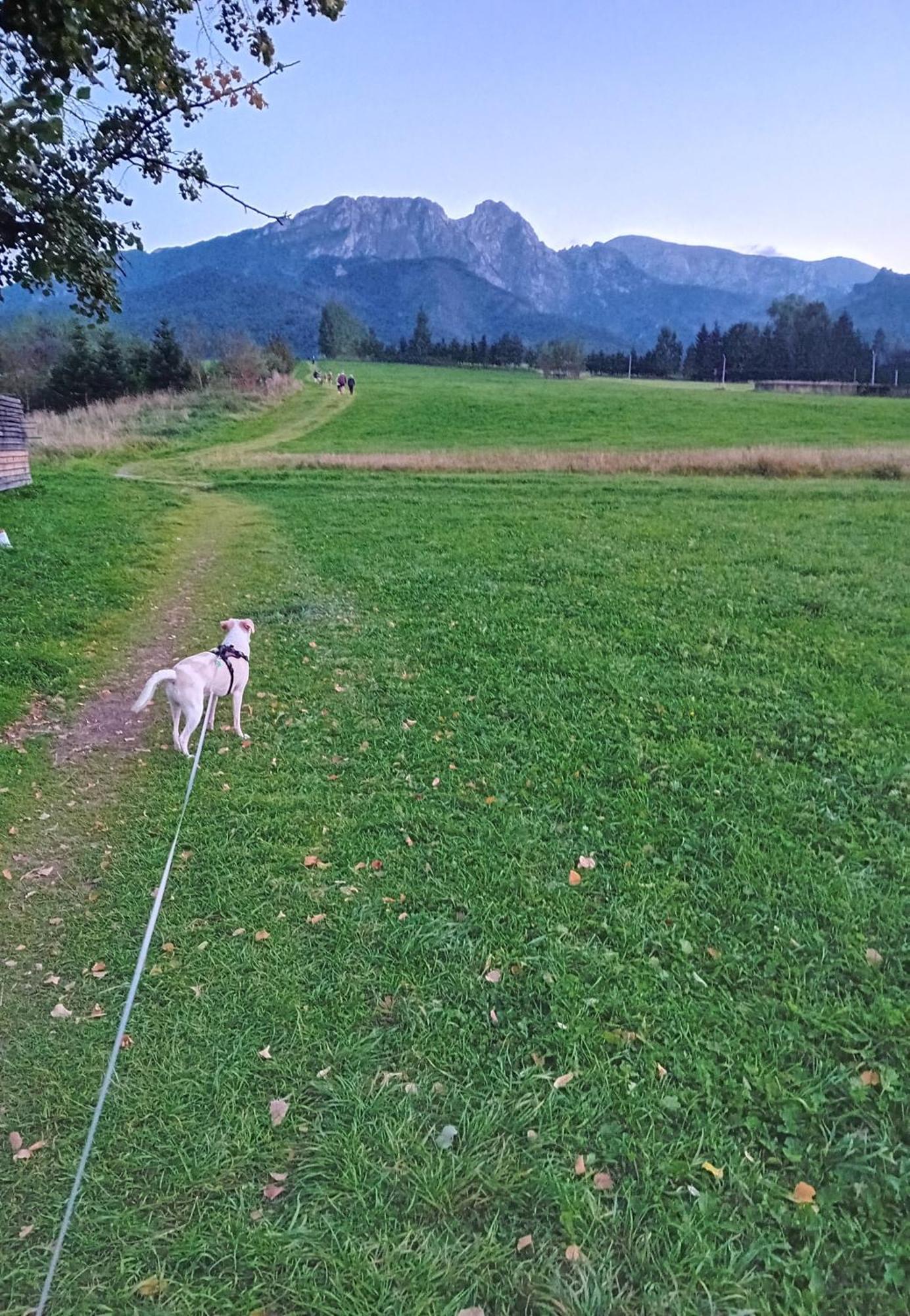 Apartament Rodzinny Zakopane Zewnętrze zdjęcie